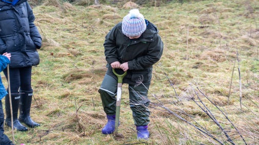 Ysgol Penmachno pupils planting trees in Penmachno